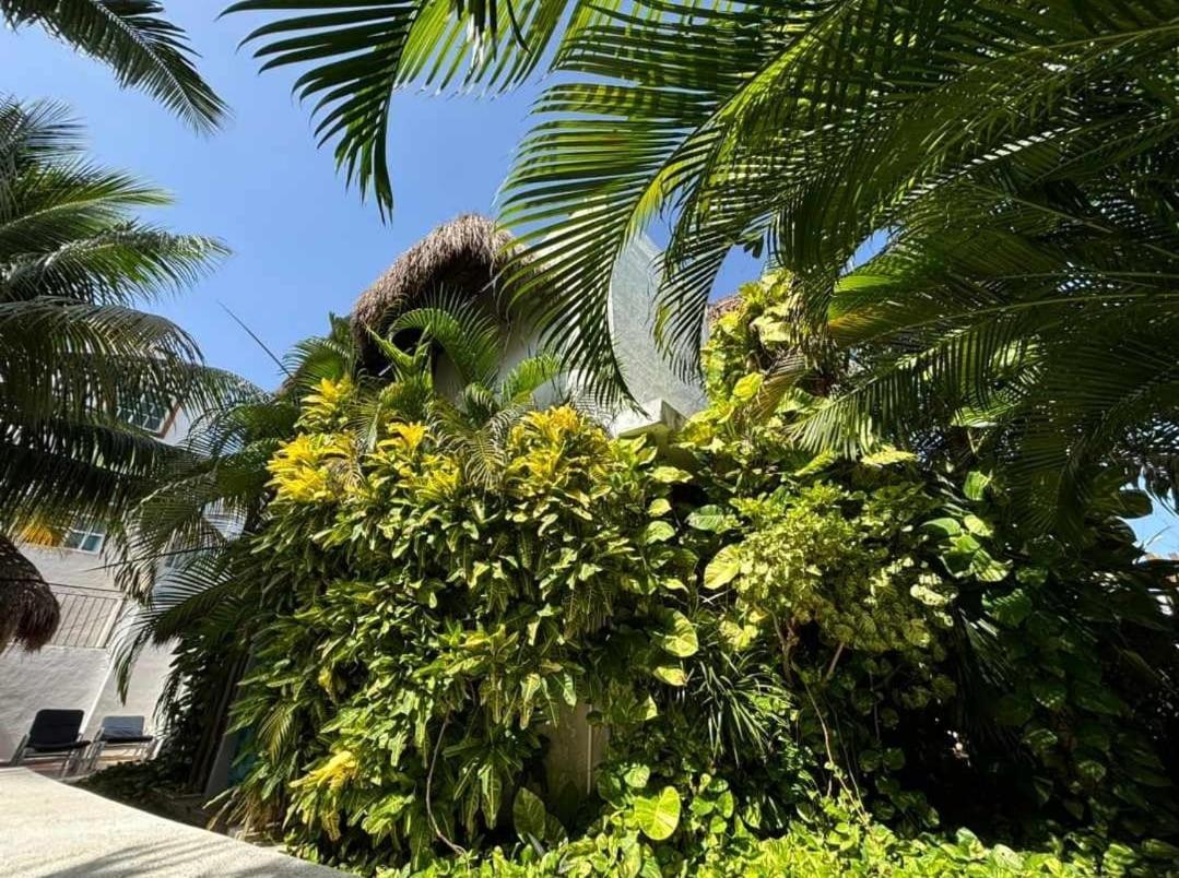 Apartament Casa Nona Rosa Cancún Zewnętrze zdjęcie